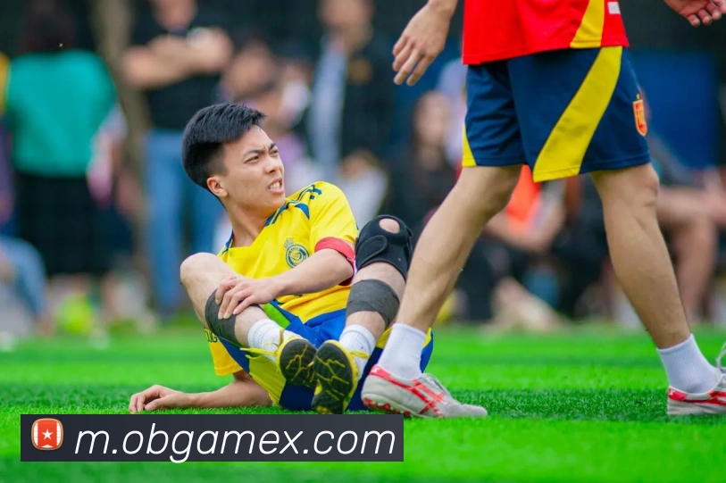 欧博官网APP 封面图